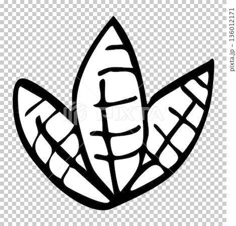手描き線画の葉っぱ3枚セットのボタニカルイラスト素材 136012171