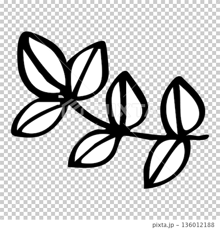 Hand-drawn line drawing of leaves and branches natural illustration material Hand-drawn line drawing of leaves and branches natural illustration material 136012188