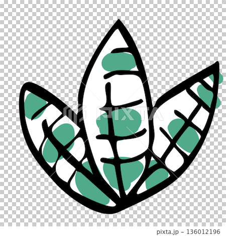 手繪的室內植物葉片線畫 136012196