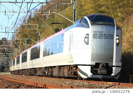 特急しおさい　E259系 136012279