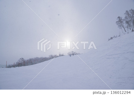 レッスン風景 レッスン風景 136012294