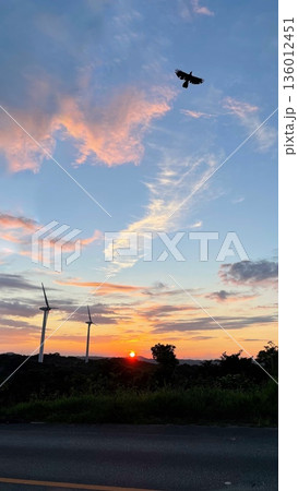 夕焼け空に映える風力発電の風車と羽ばたく鳥のシルエット 136012451