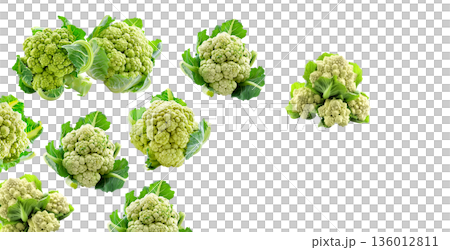 Multiple fresh green cauliflower heads isolated on white background, concept of healthy food and vegetables 136012811