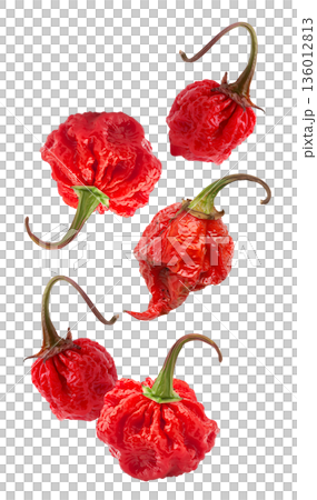 Wrinkled red Carolina Reaper chili peppers isolated on white background, close-up of extreme heat food concept, natural style 136012813