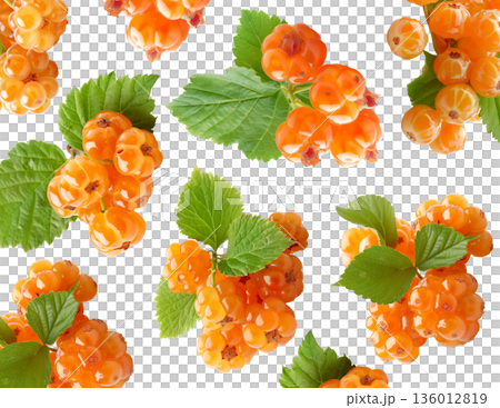 Fresh cloudberries with green leaves arranged in seamless pattern on white background, concept of fruit harvest and freshness 136012819
