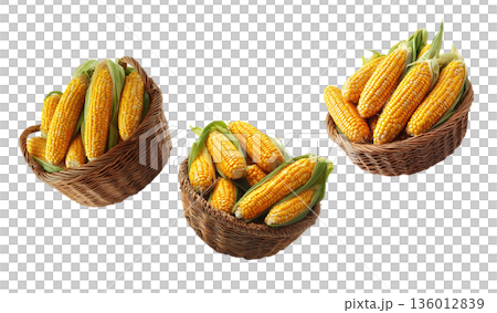 Multiple wicker baskets filled with fresh yellow corn cobs with husks, isolated on white background, concept of harvest abundance Multiple wicker baskets filled with fresh yellow corn cobs with husks, isolated on white background, concept of harvest abundance 136012839