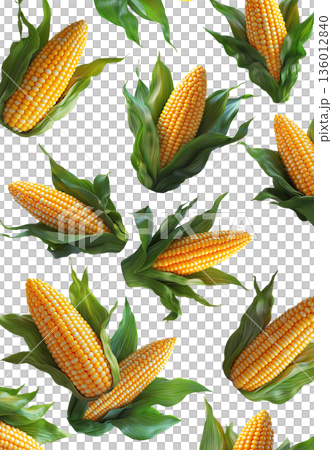 Juicy corn cobs with green husks displayed in seamless layout, isolated on white backdrop, concept of organic food and harvest Juicy corn cobs with green husks displayed in seamless layout, isolated on white backdrop, concept of organic food and harvest 136012840