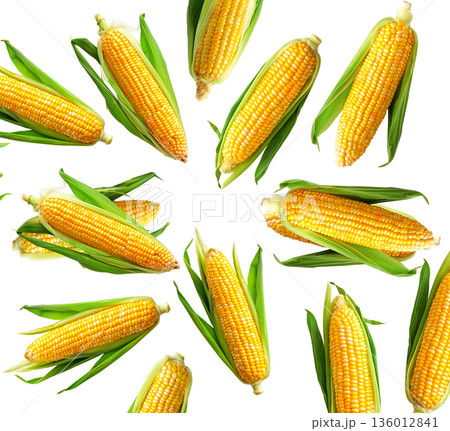 Juicy corn cobs with green husks displayed in seamless layout, isolated on white backdrop, concept of organic food and harvest 136012841