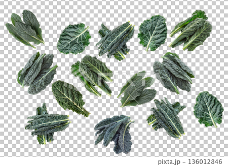 Organic kale leaves arranged in a seamless pattern, isolated on white background, concept of healthy eating 136012846