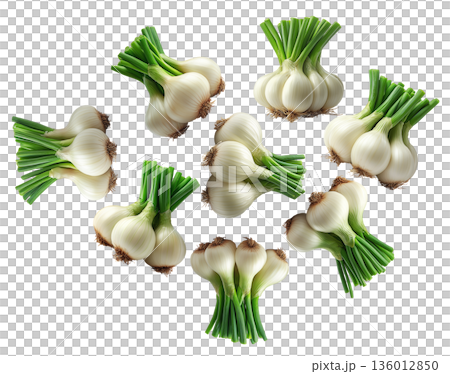 Multiple fresh spring garlic bunches with green stalks arranged isolated on white background, concept of harvest Multiple fresh spring garlic bunches with green stalks arranged isolated on white background, concept of harvest 136012850