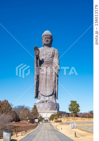 牛久大仏の全身像と青空 正面構図の巨大仏像風景 牛久大仏の全身像と青空 正面構図の巨大仏像風景 136013579
