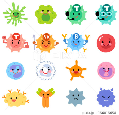 細胞・リンパ球の種類 136013658