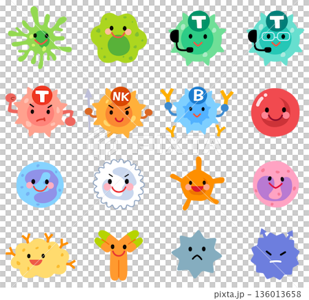 細胞・リンパ球の種類 136013658