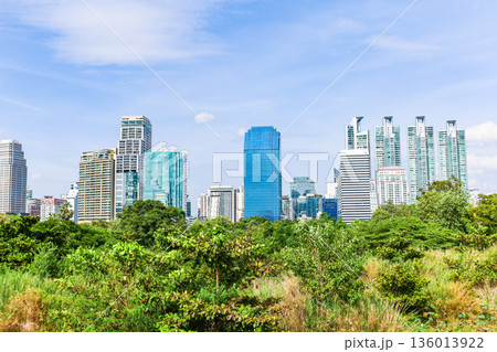 緑の多い都市風景 緑の多い都市風景 136013922