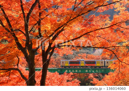矢祭山の紅葉と水郡線 キハe130 矢祭山の紅葉と水郡線 キハe130 136014060