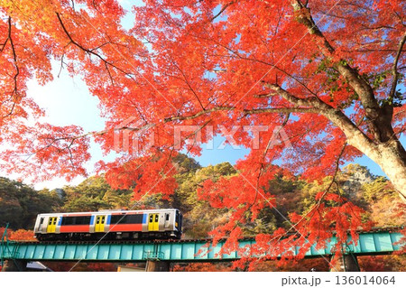 矢祭山の紅葉と水郡線 136014064