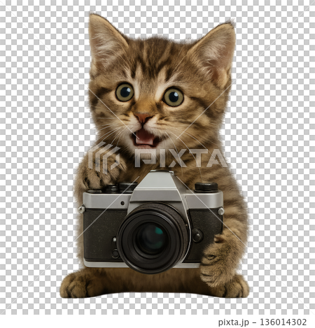 A cute illustration of a brown tabby kitten holding a camera, expressing the joy of taking photos 136014302