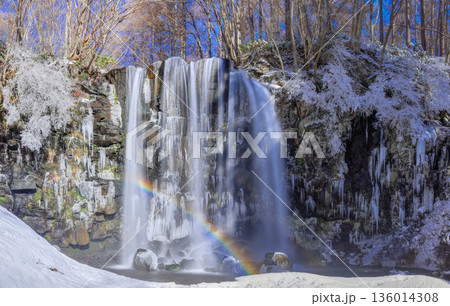 冬の唐沢の滝と虹（菅平高原）（パノラマ） 136014308