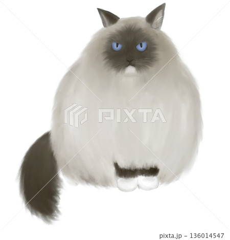 手描きの猫のイラスト素材 手描きの猫のイラスト素材 136014547