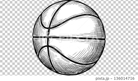 バスケットボール 136014716