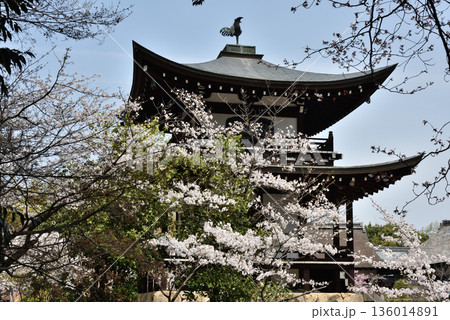 勧修寺 サクラと側面からの観音堂(京都市山科区) 勧修寺 サクラと側面からの観音堂(京都市山科区) 136014891