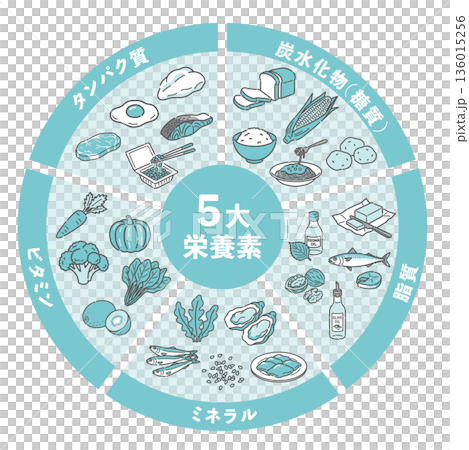 五大栄養素の食材円グラフ(炭水化物・脂質・タンパク質・ビタミン・ミネラル) 五大栄養素の食材円グラフ(炭水化物・脂質・タンパク質・ビタミン・ミネラル) 136015256