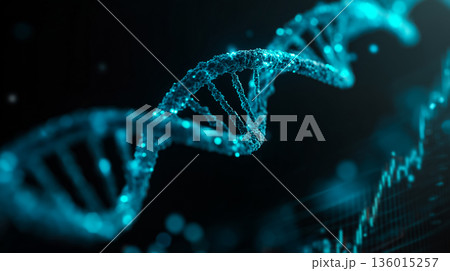 未来医療とバイオテクノロジーを象徴するデジタルDNA構造 136015257