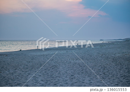磐田市の鮫島海岸の風景(静岡県) 136015553