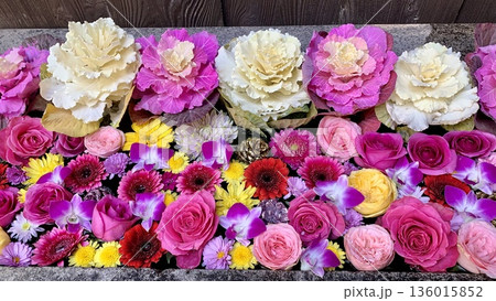 1月の華やかな花手水(葉牡丹・薔薇・ガーベラ・菊・デンファレ)〈菅生神社/愛知県岡崎市〉 1月の華やかな花手水(葉牡丹・薔薇・ガーベラ・菊・デンファレ)〈菅生神社/愛知県岡崎市〉 136015852