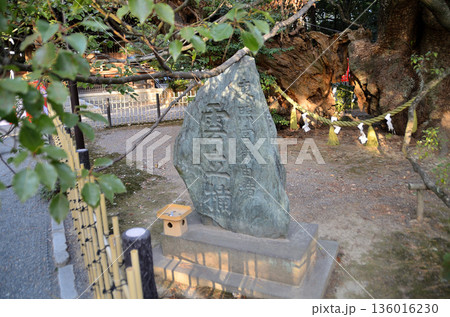 静岡県浜松市中央区八幡町のパワースポット 浜松八幡宮 136016230