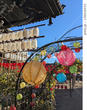 おふさ観音のえびすさまの提灯とカラフル提灯、縦 おふさ観音のえびすさまの提灯とカラフル提灯、縦 136016433