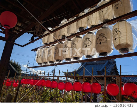 おふさ観音のえびすさまの提灯とカラフル提灯 おふさ観音のえびすさまの提灯とカラフル提灯 136016435