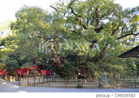 静岡県浜松市中央区八幡町のパワースポット 浜松八幡宮 136016582