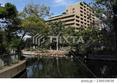 東陽町　街並み 136016636