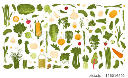 Fresh Green Vegetables Food Set 136016692