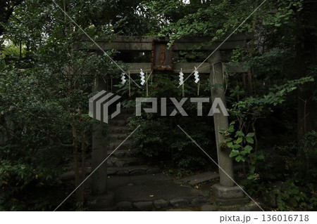 赤坂氷川神社 136016718