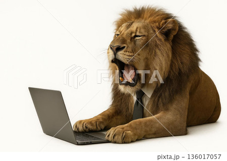 Yawning lion in tie at laptop on white background. Space for text. 136017057