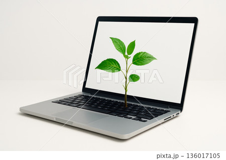 A green sprout growing from a laptop keyboard. 136017105