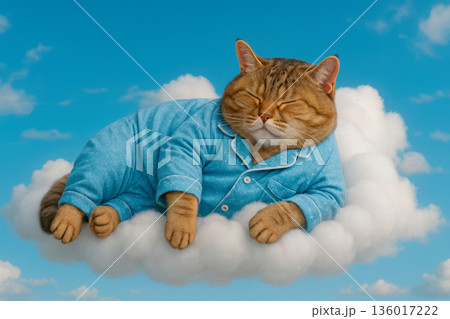 A cat in pajamas sleeps on a cloud in the sky. 136017222