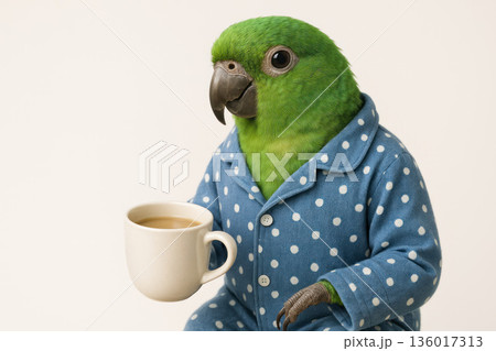 Parrot in pajamas with a mug of tea or coffee. Space for text. 136017313