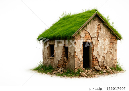 A ruined house with green grass on the roof. Space for text. 136017405