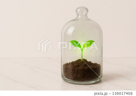 A green sprout under a glass bell. Space for text. 136017408