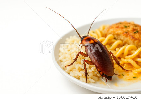Cockroach sitting on a plate of food and noodles. Space for text. Cockroach sitting on a plate of food and noodles. Space for text. 136017410