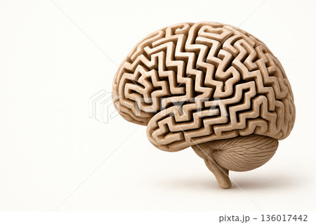 The human brain in the form of a labyrinth. Space for text. 136017442