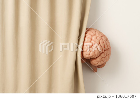 The brain peeks out from behind the curtain a symbol of hidden intelligence. Space for text. The brain peeks out from behind the curtain a symbol of hidden intelligence. Space for text. 136017607
