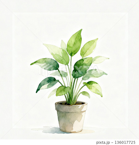 ナチュラルでやさしい観葉植物のインテリアイラスト素材 136017725