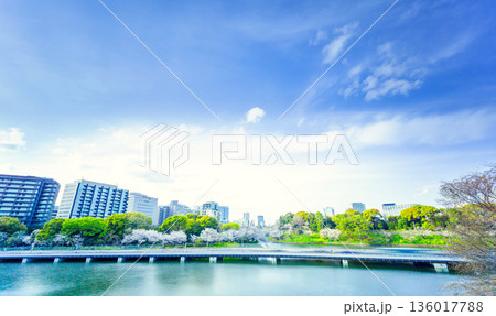 春の東京・千鳥ヶ淵 満開の桜 春の東京・千鳥ヶ淵 満開の桜 136017788