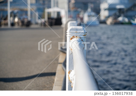 みなとみらいの遊歩道 136017938