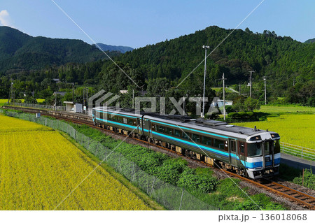 キハ185系　特急「むろと」 136018068