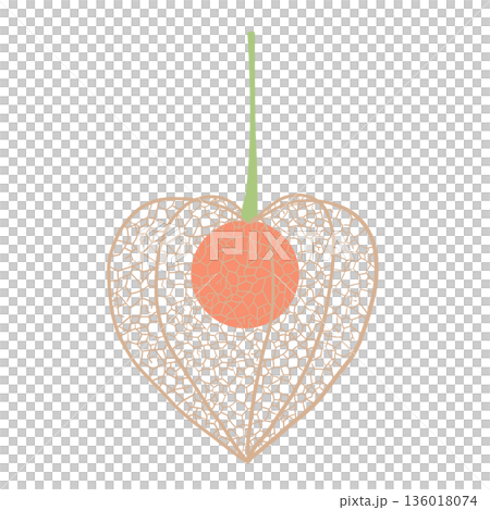 網ほおずき 136018074